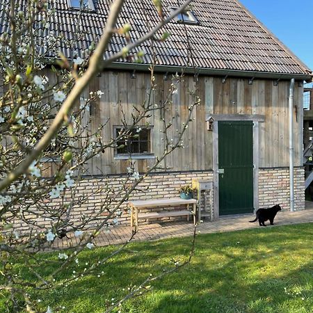 Husterheide Villa Noordbergum Buitenkant foto